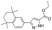 ETHYL 3-(1,2,3,4-TETRAHYDRO-1,1,4,4-TETRAMETHYLNAPHTHALEN-6-YL)-1H-PYRAZOLE-5-CARBOXYLATE Struktur