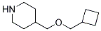 CYCLOBUTYLMETHYL 4-PIPERIDINYLMETHYL ETHER Struktur