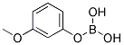 3-METHOXYPHENYLBORNOIC ACID Struktur