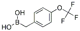 4-(TRIFLUOROMETHOXY)BENZYLBORONIC ACID Struktur