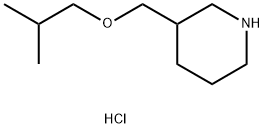 (ISOBUTOXYMETHYL)PIPERIDINE HYDROCHLORIDE Struktur