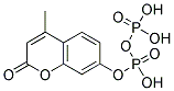 4-Methylumbelliferyl-Pyrophosphate Struktur