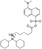 DANSYL EPSILON-(L)-AMINO-N-CAPROIC ACID DICYCLOHEXYLAMMONIUM SALT Struktur