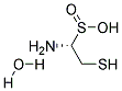 L-CYSTEINESULPHINIC ACID, MONOHYDRATE Struktur