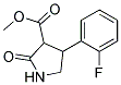 3-METHOXYCARBONYL-4-(2`-FLUOROPHENYL)-2-PYRROLIDINONE Struktur