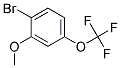 3-Methoxy-4-Bromo-Trifluoromethoxybenzene Struktur