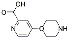 4-Morpholin-1-ylpyridine-2-carboxylic acid Struktur