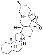 CEVOLIDE Struktur