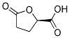 (R )-5-OXOTETRAHYDROFURAN-2-CARBOXLIC ACID Struktur