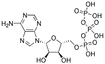 ADENOSINE 5'-TRIPHOSPHATE ASSAY MIX*DILUTION BUFFER Struktur