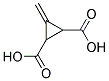 3-METHYLENECYCLOPROPANE-1,2-DICARBOXYLIC ACID, TECH Struktur