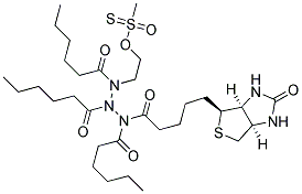 N-BIOTINYLCAPROYLAMINOCAPROYLAMINOCAPROYLAMINOETHYL METHANETHIOSULFONATE Struktur