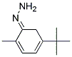 N-AMINO-P-TERT-BUTYL-BENZOIMIDE Struktur