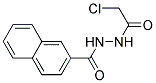 N'-(2-Chloroacetyl)naphth-2-ylhydrazide Struktur