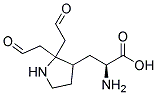 Lysine, gamma glutamyl, N epsilon B
 Struktur