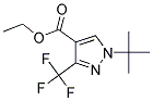 ETHYL 1-TERT-BUTYL-3-(TRIFLUOROMETHYL)-1H-PYRAZOLE-4-CARBOXYLATE Struktur