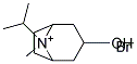 8S-ISOPROPYL-3-HYDROXYTROPANIUM BROMIDE Struktur