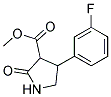 3-METHOXYCARBONYL-4-(3`-FLUOROPHENYL)-2-PYRROLIDINONE Struktur