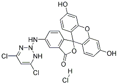 5-((4,6-DICHLOROTRIAZIN-2-YL)AMINO)FLUOR ESCEIN HCL Struktur