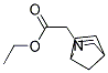 ETHYL 2-(2-AZA-BICYCLO[2.2.1]HEPT-5-EN-2-YL)ACETATE Struktur