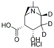 ECGONINE:HCL (D3, 98%) 100 UG/ML IN METHANOL Struktur