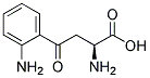 Kynruenic acid Struktur