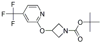 3-(4-Trifluoromethyl-pyridin-2-yloxy)-azetidine-1-carboxylic acid tert-butyl ester Struktur