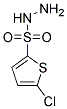 5-Chloro-thiophene-2-sulfonylhydrazine Struktur