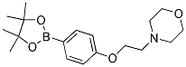 4-(2-[4-(4,4,5,5-tetramethyl-[1,3.,2]dioxabrolan-2-yl)-phenoxy]-ethyl)-morpholine Struktur