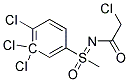 N1-[1-(4-Chlorophenyl)-1-methyl-1-oxo-lambda6-sulfanylidene]-2,3,3-trichloroacetamide Struktur