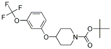 4-(3-Trifluoromethoxy-phenoxy)-piperidine-1-carboxylic acid tert-butyl ester Struktur