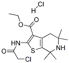 Ethyl 2-[(chloroacetyl)amino]-5,5,7,7-tetramethyl-4,5,6,7-tetrahydrothieno[2,3-c]pyridine-3-carboxylate hydrochloride Struktur