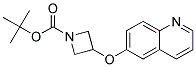 3-(Quinolin-6-yloxy)-azetidine-1-carboxylic acid tert-butyl ester Struktur