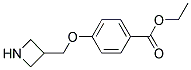 4-(Azetidin-3-ylmethoxy)-benzoic acid ethyl ester Struktur