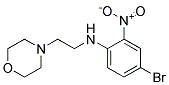 (4-Bromo-2-nitro-phenyl)-(2-morpholin-4-yl-ethyl)-amine Struktur