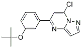 5-(3-tert-butoxyphenyl)-7-chloropyrazolo[1,5-a]pyrimidine Struktur