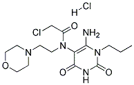 N-(6-Amino-2,4-dioxo-1-propyl-1,2,3,4-tetrahydropyrimidin-5-yl)-2-chloro-N-(2-morpholin-4-ylethyl)acetamide hydrochloride Struktur