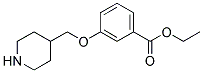 3-(Piperidin-4-ylmethoxy)-benzoic acid ethyl ester Struktur