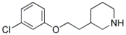 3-[2-(3-chlorophenoxy)ethyl]piperidine Struktur
