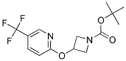 3-(5-Trifluoromethyl-pyridin-2-yloxy)-azetidine-1-carboxylic acid tert-butyl ester Struktur