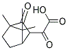 (2-OXO-3-BORNYL)GLYOXYLICACID Struktur