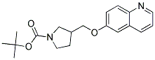 3-(Quinolin-6-yloxymethyl)-pyrrolidine-1-carboxylic acid tert-butyl ester Struktur