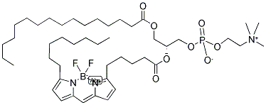 2-(4,4-DIFLUORO-5-OCTYL-4-BORA-3A,4A-DIAZA-S-INDACENE-3-PENTANOYL)-1-HEXADECANOYL-SN-GLYCERO-3-PHOSPHOCHOLINE Struktur