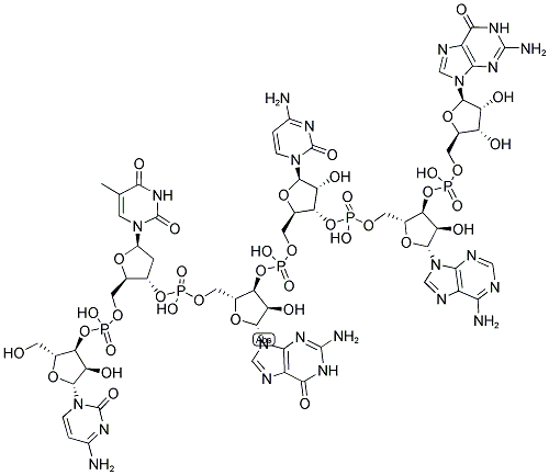 CTGCAG, 5'-NON-PHOSPHORYLATED Struktur