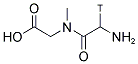 GLYCYL SARCOSINE, [GLYCYL 2-3H] Struktur