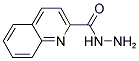 QUINOLINE-2-CARBOHYDRAZIDE Struktur