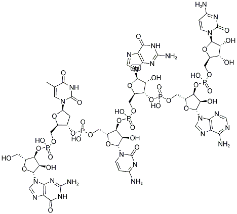 GTCGAC, 5'-NON-PHOSPHORYLATED Struktur