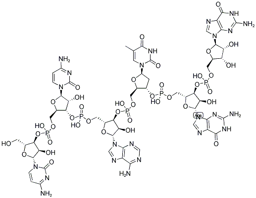 CCATGG, 5'-NON-PHOSPHORYLATED Struktur