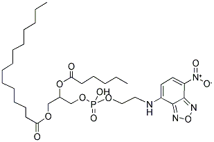 1-MYRISTOYL-2-[6-[(7-NITRO-2-1,3-BENZOXADIAZOL-4-YL)AMINO]CAPROYL]-SN-GLYCERO-3-PHOSPHOETHANOLAMINE Struktur