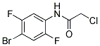 N1-(4-BROMO-2,5-DIFLUOROPHENYL)-2-CHLOROACETAMIDE Struktur